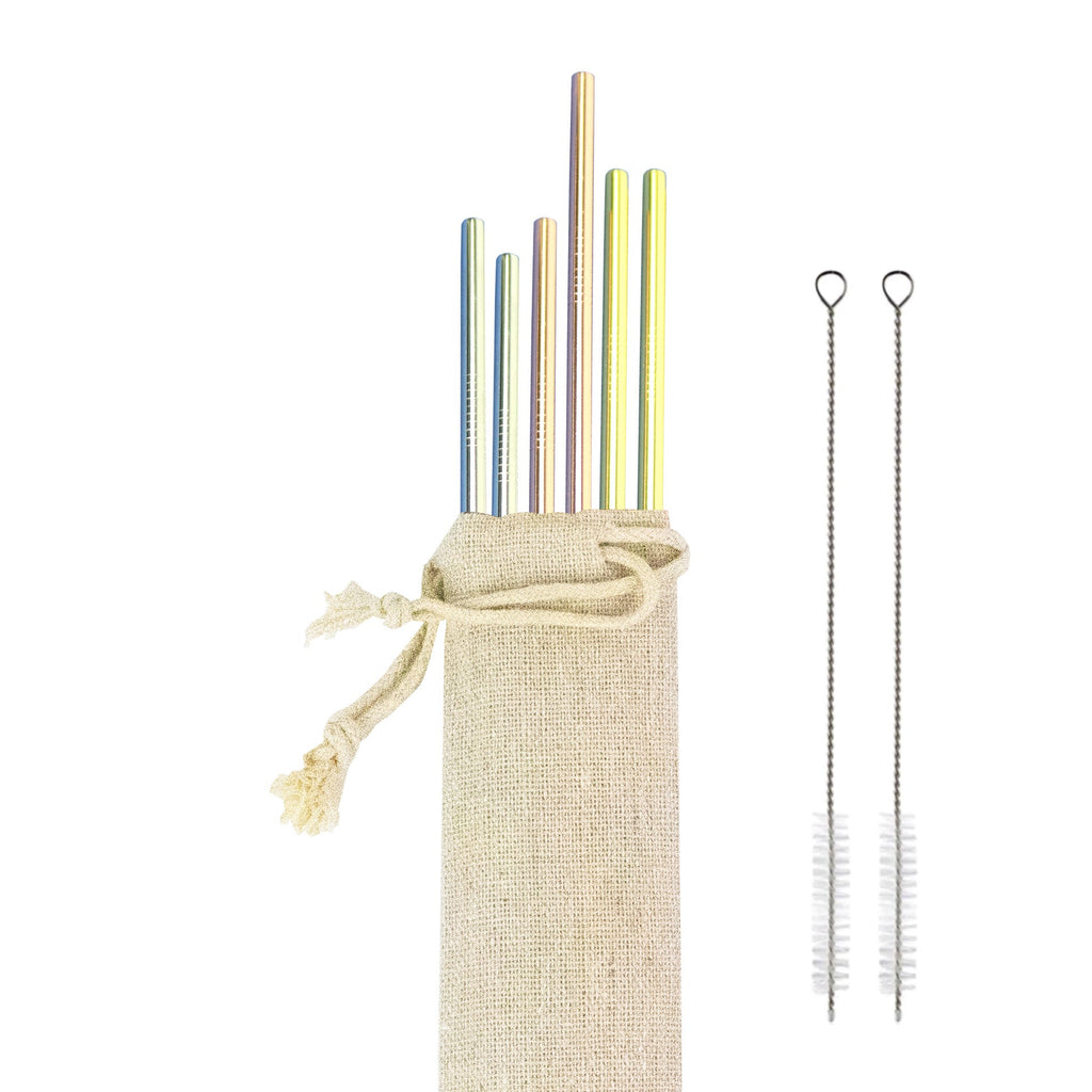 Set of 6 Stainless steel Straws