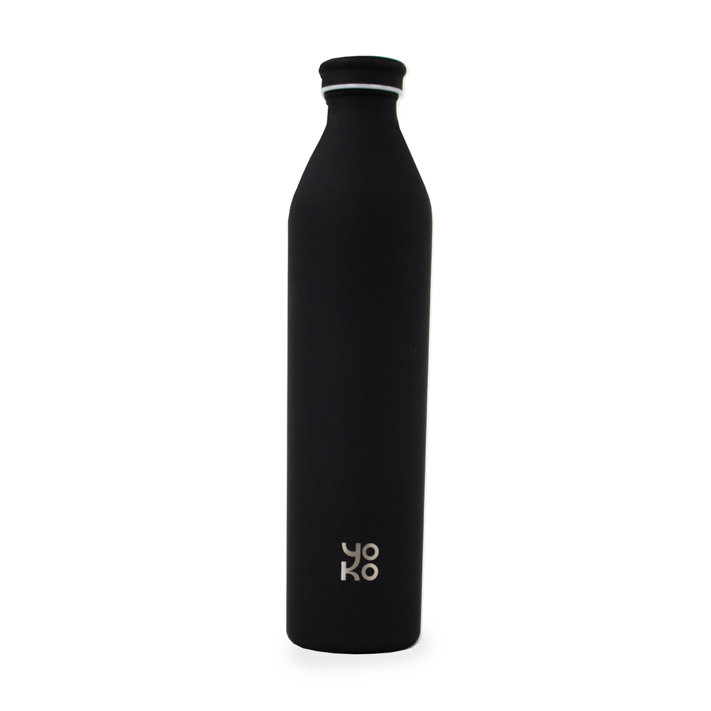 Insulated Bottle 1000ml Inox